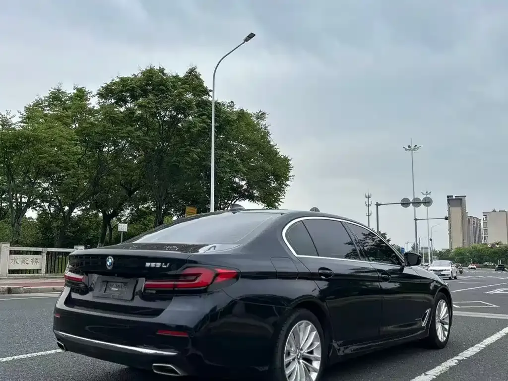 BMW 5 Series 2021 из CN, фото 8