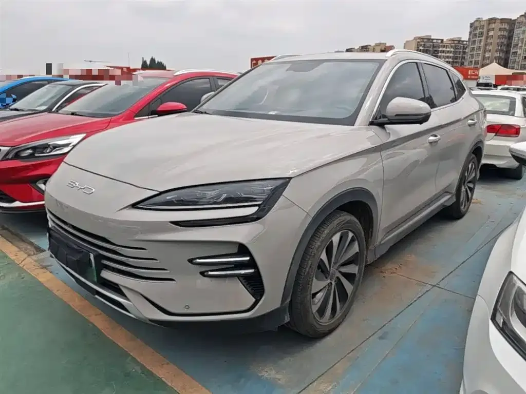 BYD PLUS New Energy — фото 1