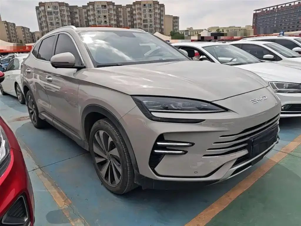 BYD PLUS New Energy — фото 4
