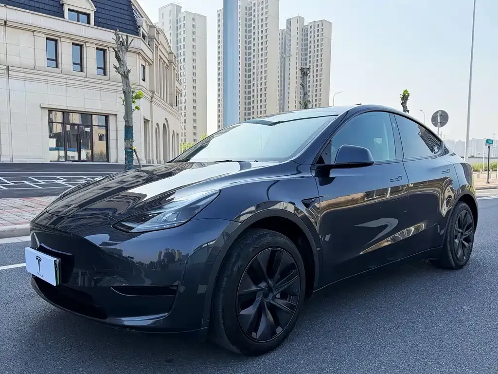 Tesla Model Y — фото 1