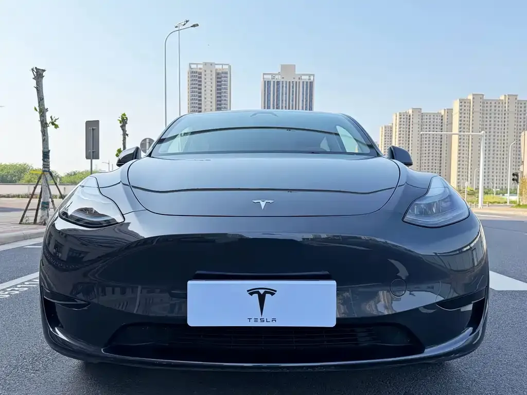 Tesla Model Y — фото 9