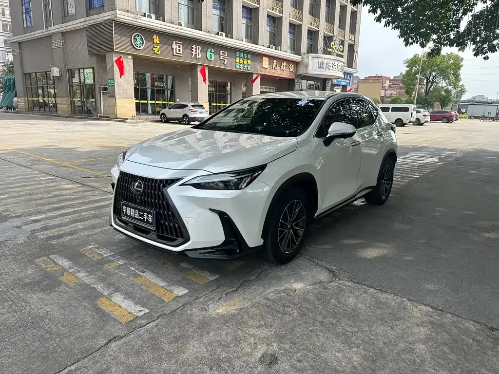 Lexus NX 2024 из CN, фото 1