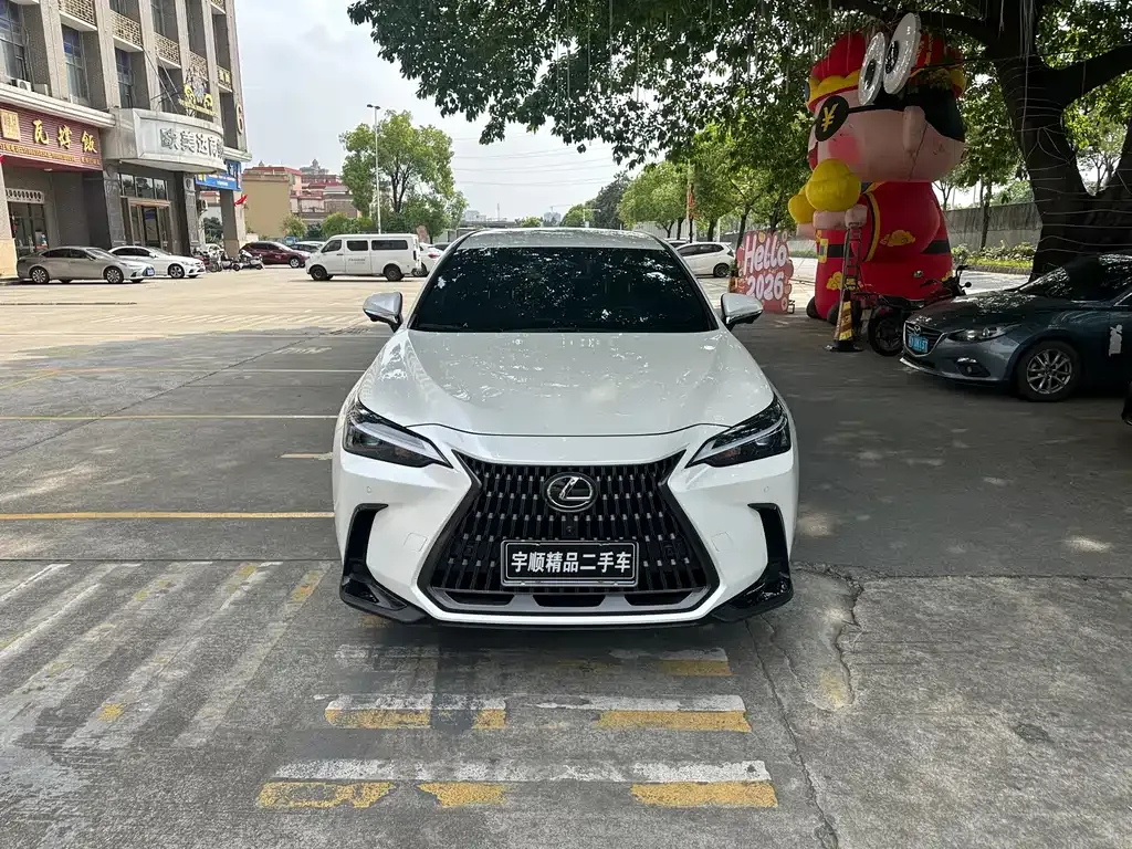 Lexus NX 2024 из CN, фото 10