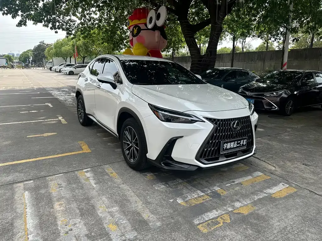 Lexus NX 2024 из CN, фото 5