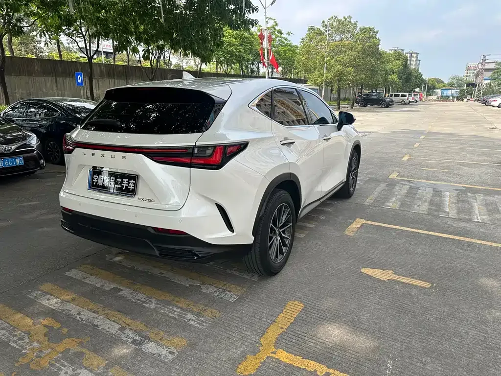 Lexus NX 2024 из CN, фото 9