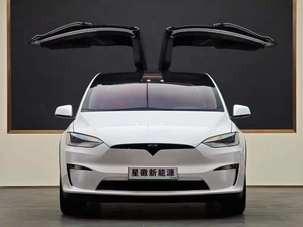 Tesla Model X 2024 из CN, фото 3