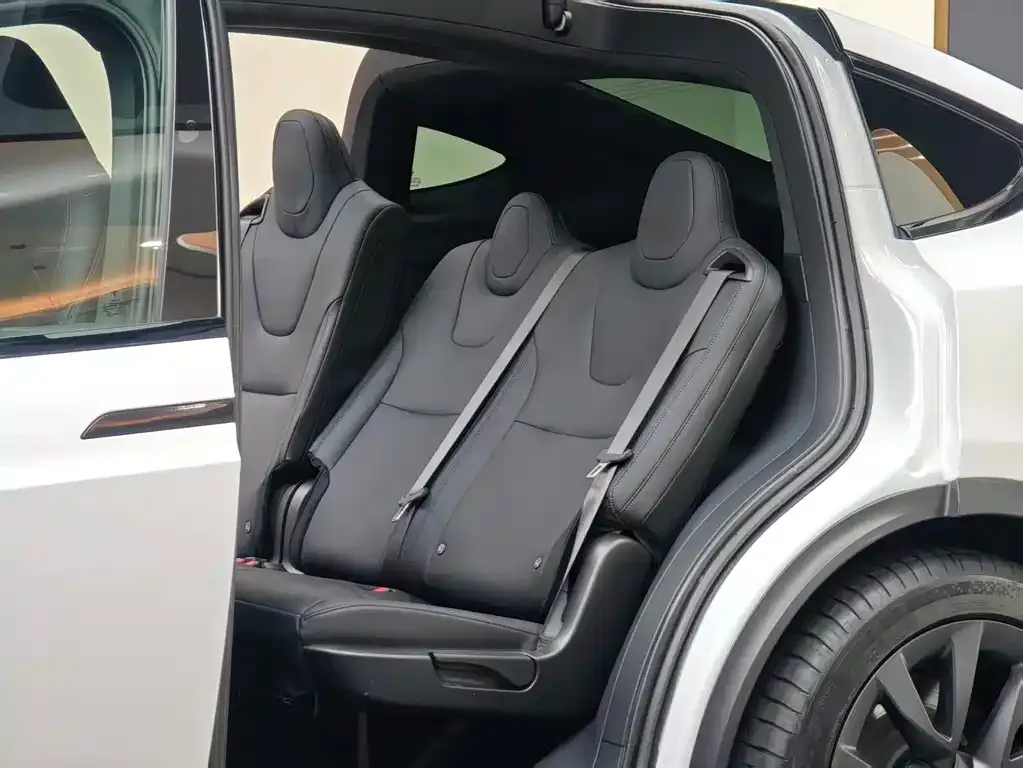 Tesla Model X 2024 из CN, фото 10