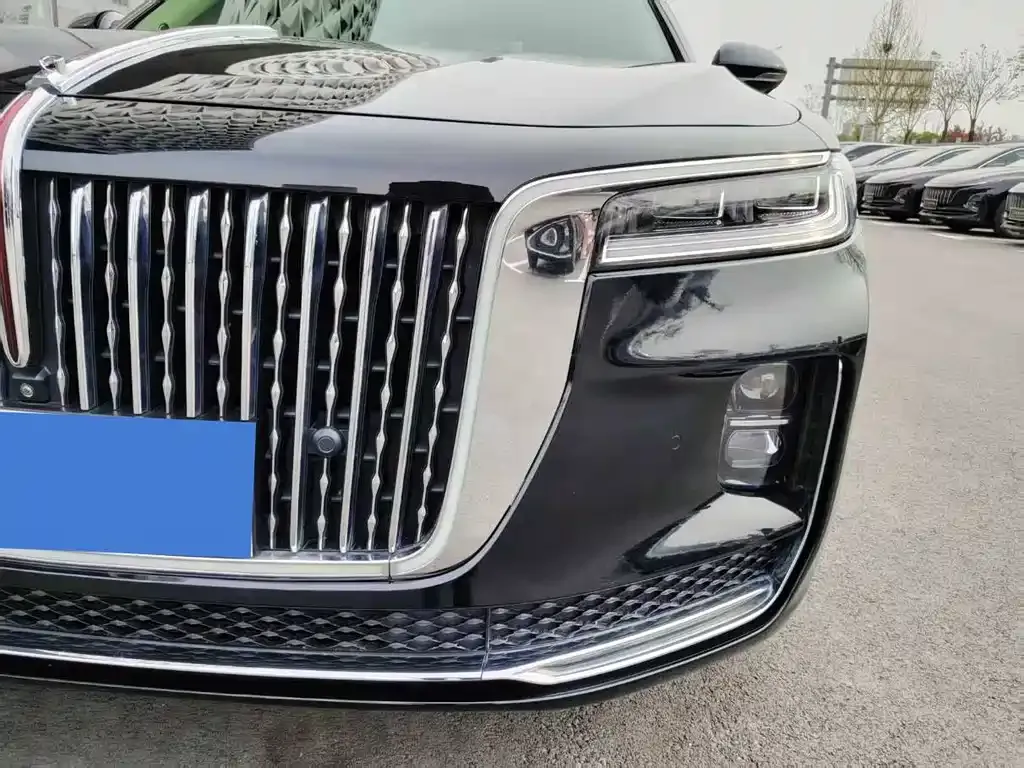 Hongqi H9 2021 из CN, фото 10