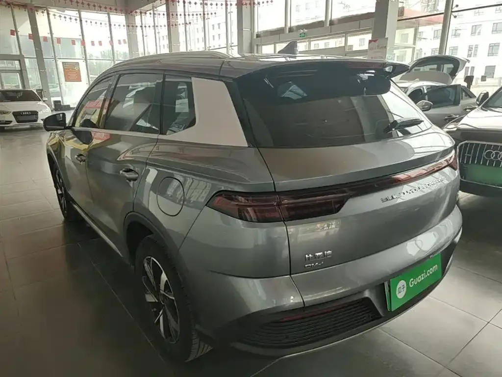 BYD Pro New Energy — фото 3
