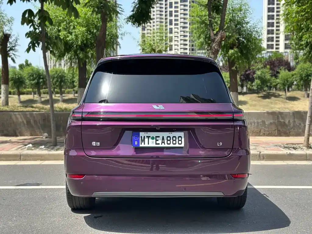 Li Auto L9 2023 из CN, фото 3