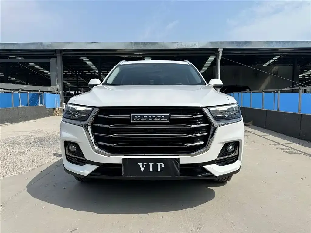 Haval H6 2022 из CN, фото 2