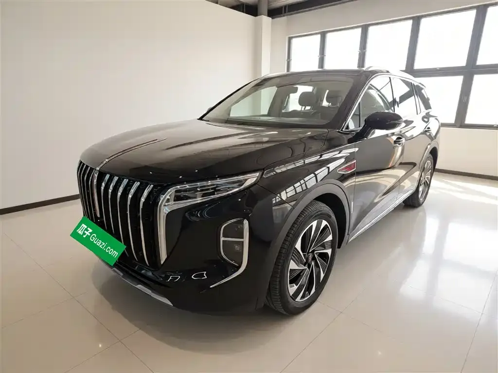 Hongqi HS7 PHEV 2024 из CN, фото 7