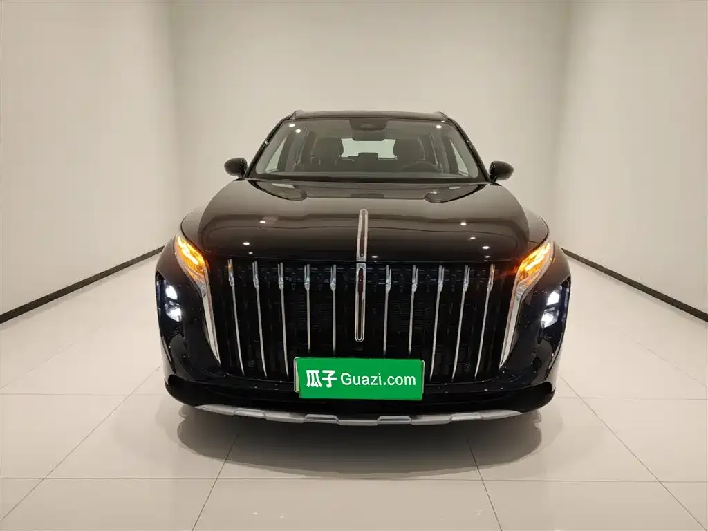 Hongqi HS7 PHEV 2024 из CN, фото 3