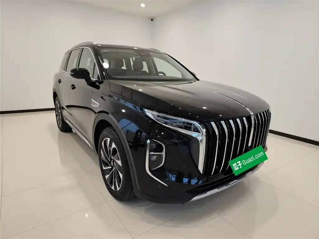Hongqi HS7 PHEV 2024 из CN, фото 4