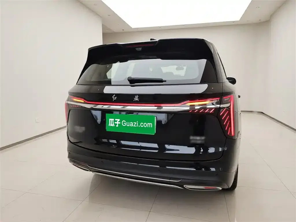 Hongqi HS7 PHEV 2024 из CN, фото 2