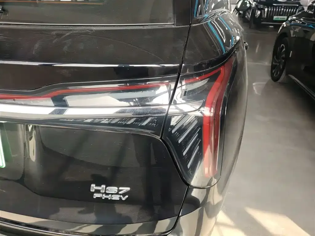 Hongqi HS7 PHEV 2024 из CN, фото 10