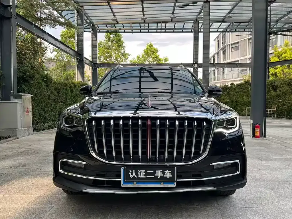 Hongqi HS7 2021 из CN, фото 4