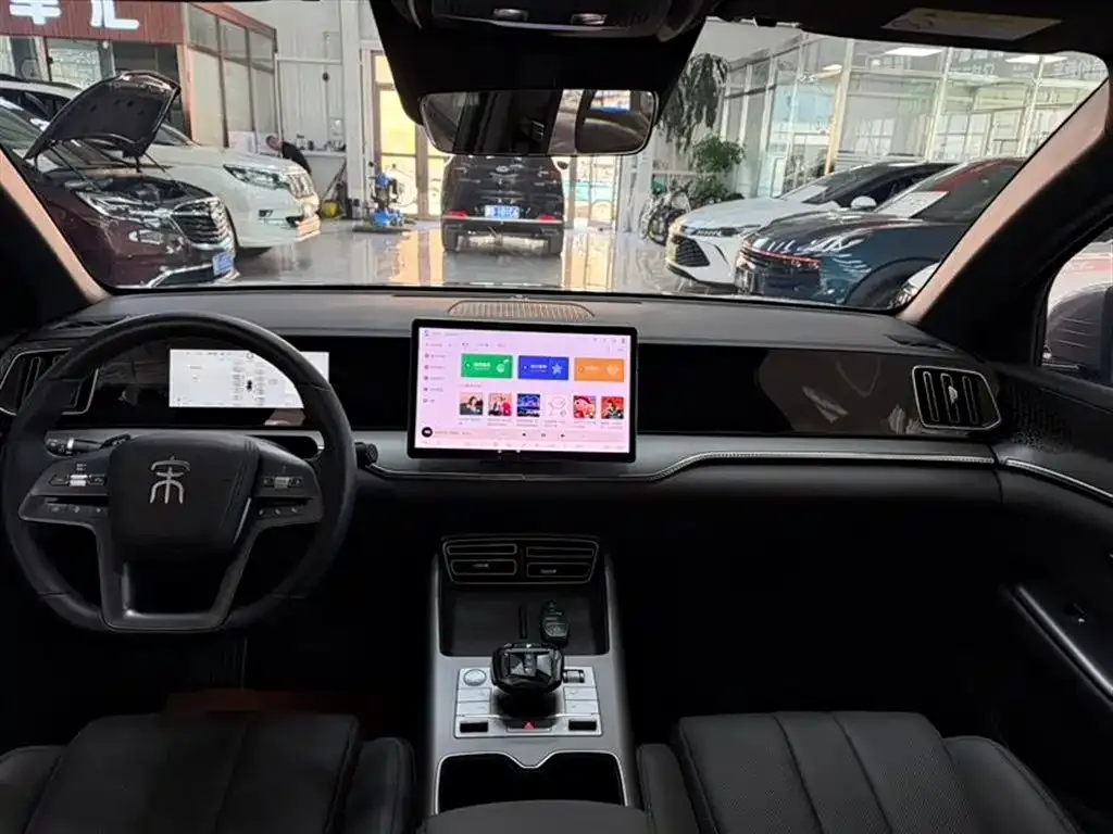 BYD Pro New Energy — фото 9
