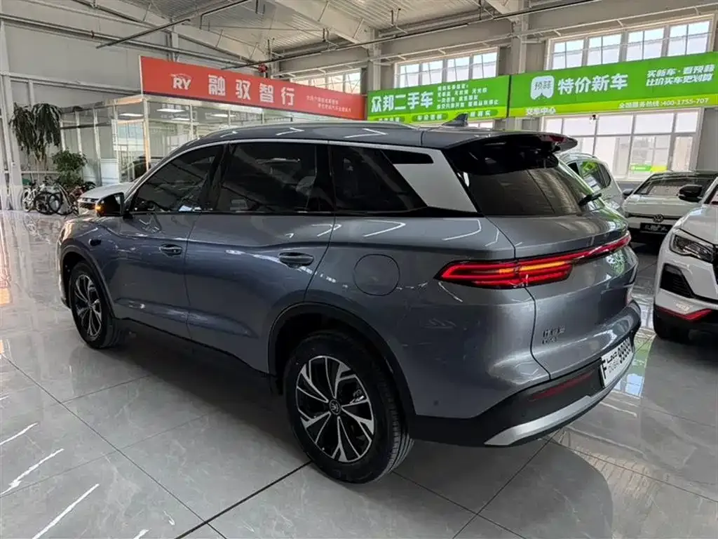 BYD Pro New Energy — фото 6