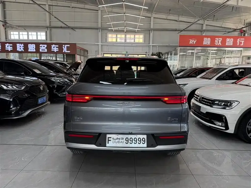 BYD Pro New Energy — фото 7