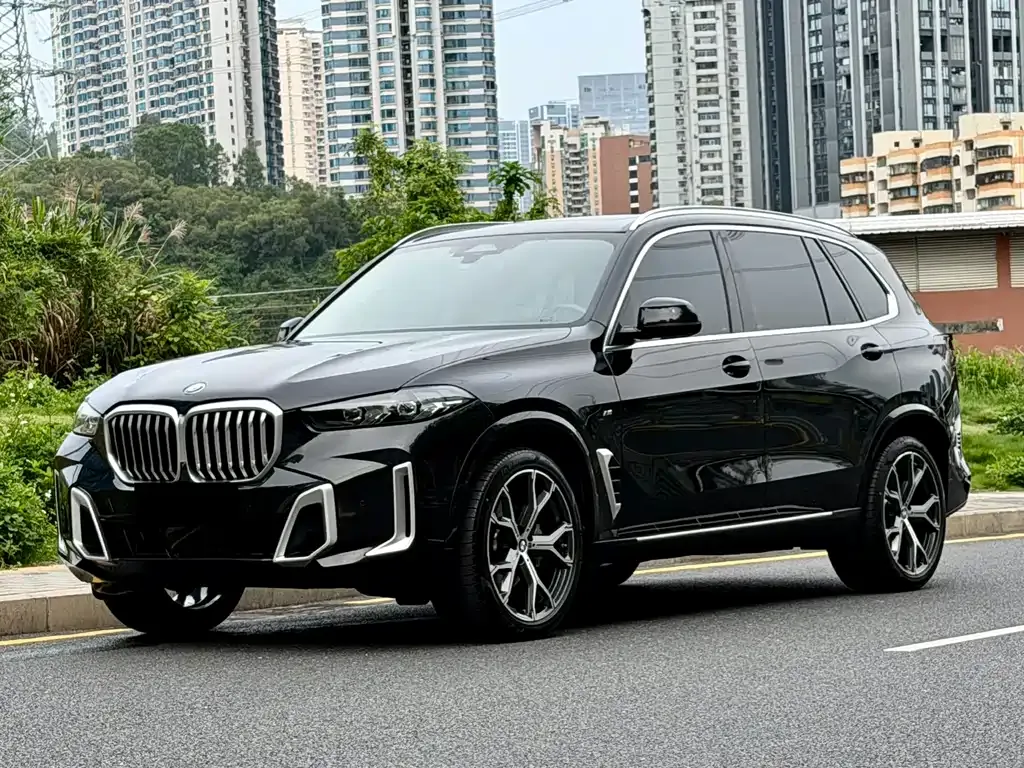 BMW X5 — фото 1