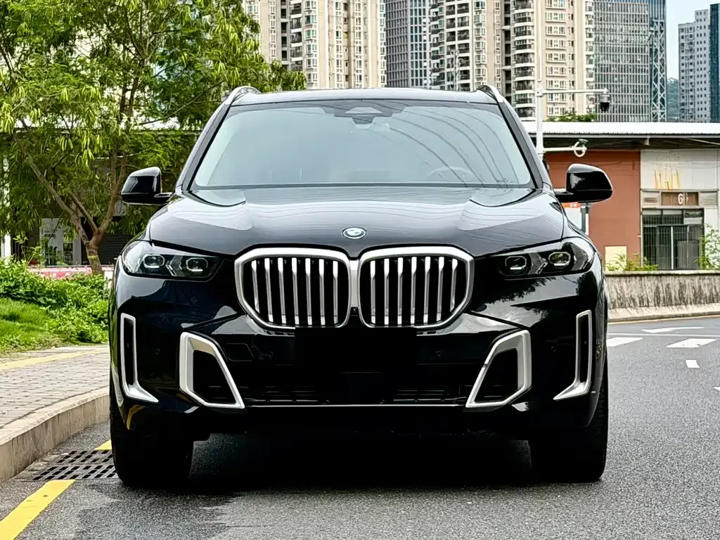 BMW X5 — фото 5