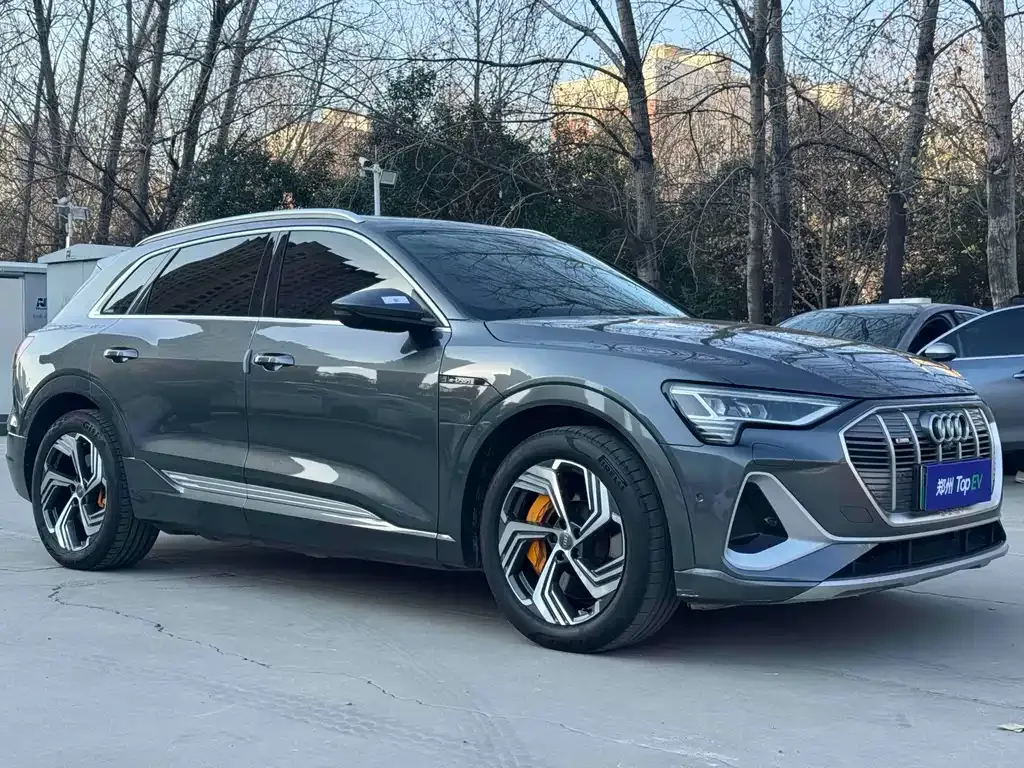 Audi e-tron 2022 из CN, фото 6
