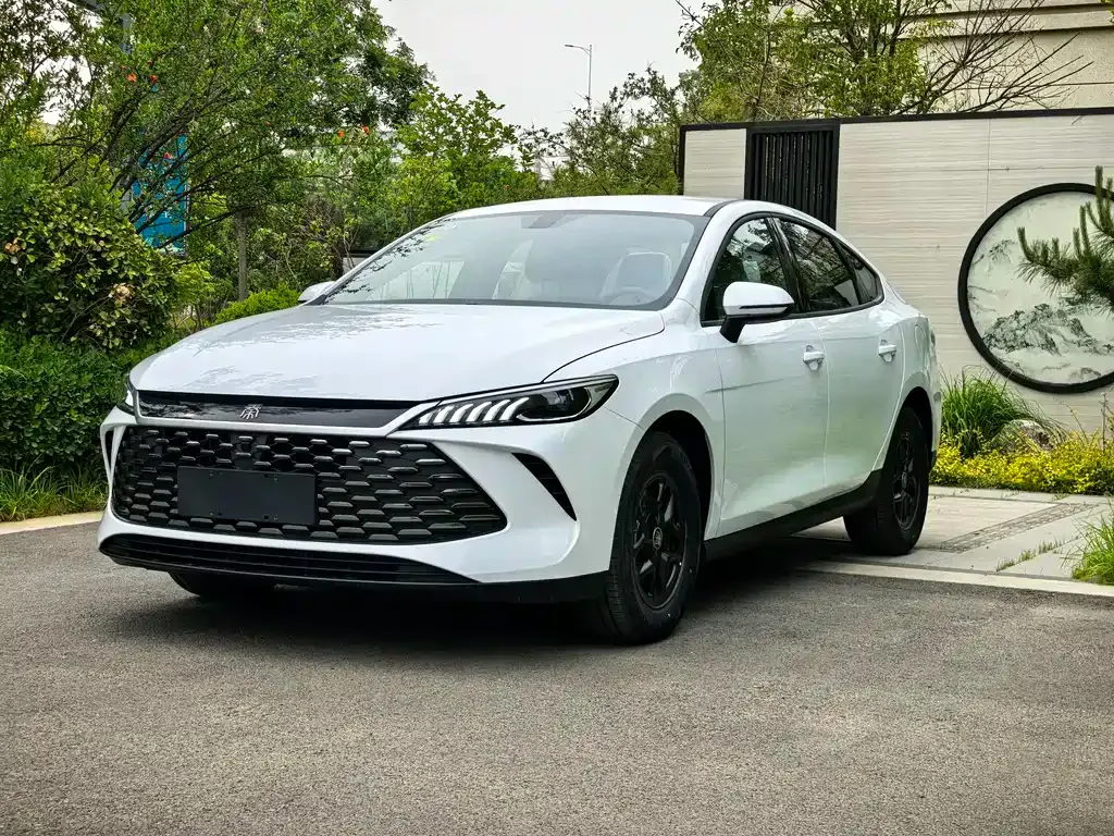 BYD Qin PLUS — фото 1