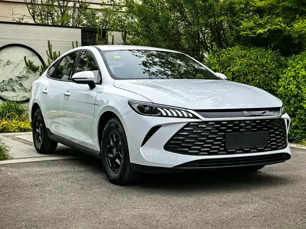BYD Qin PLUS — фото 4