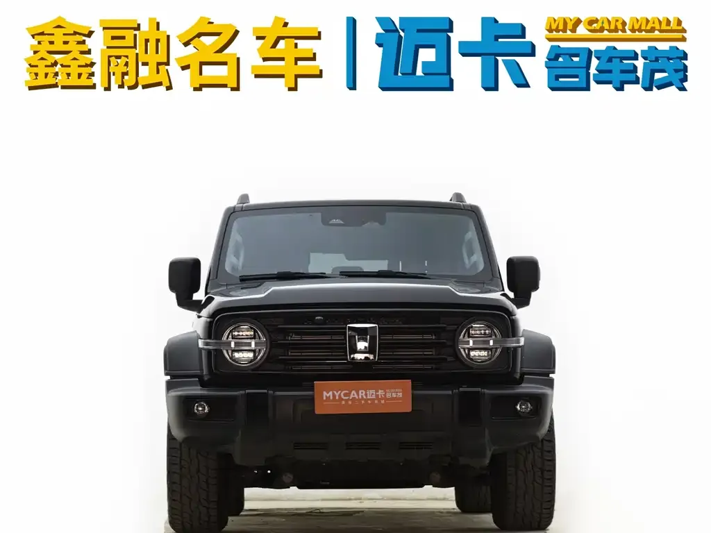 Tank 300 — фото 6