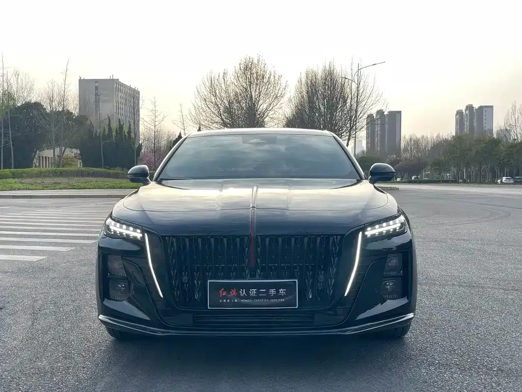 Hongqi H5 2025 из CN, фото 8