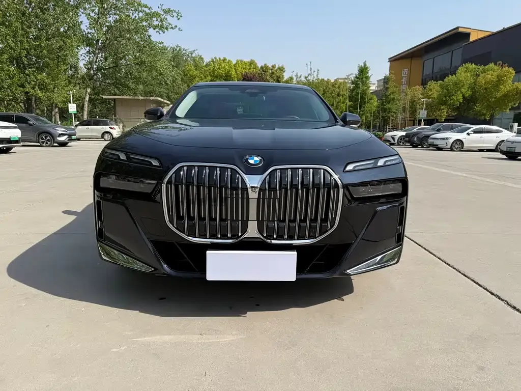BMW 7 Series 2023 из CN, фото 9