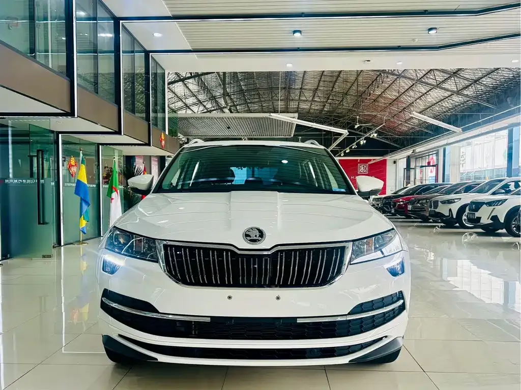 Skoda Karoq — фото 8