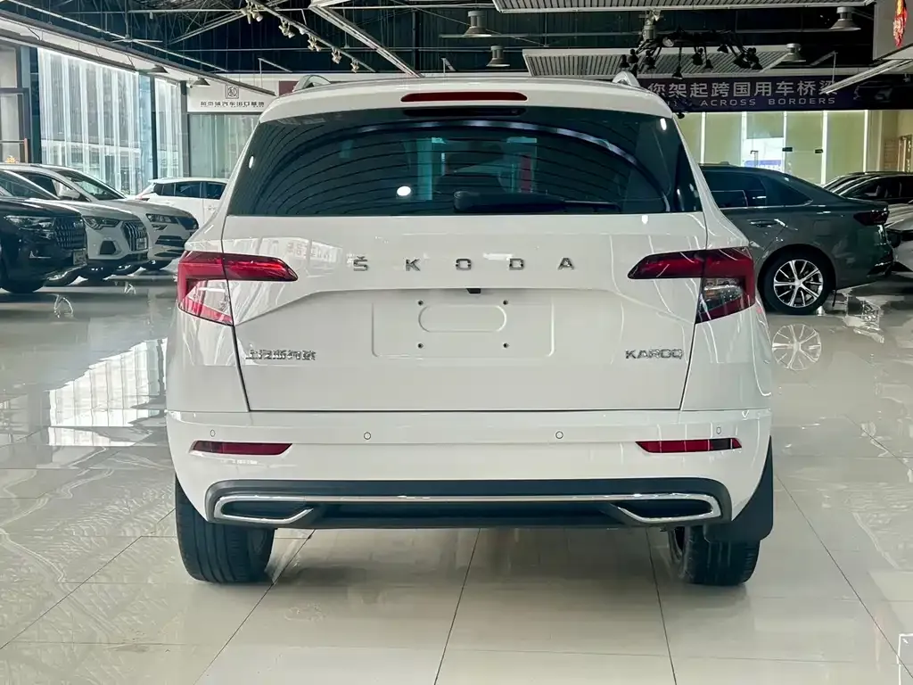 Skoda Karoq — фото 7