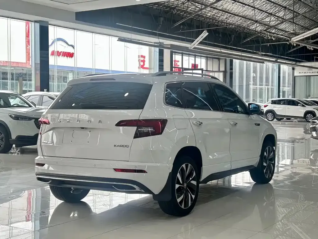 Skoda Karoq — фото 10