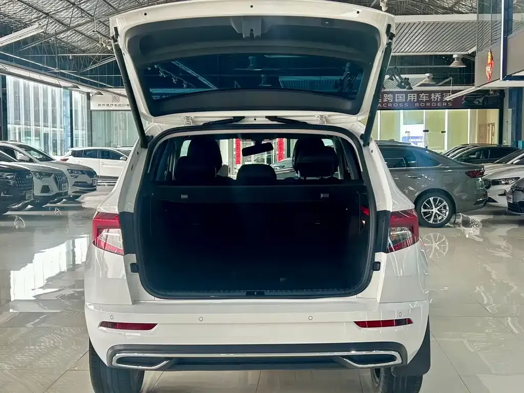 Skoda Karoq — фото 6