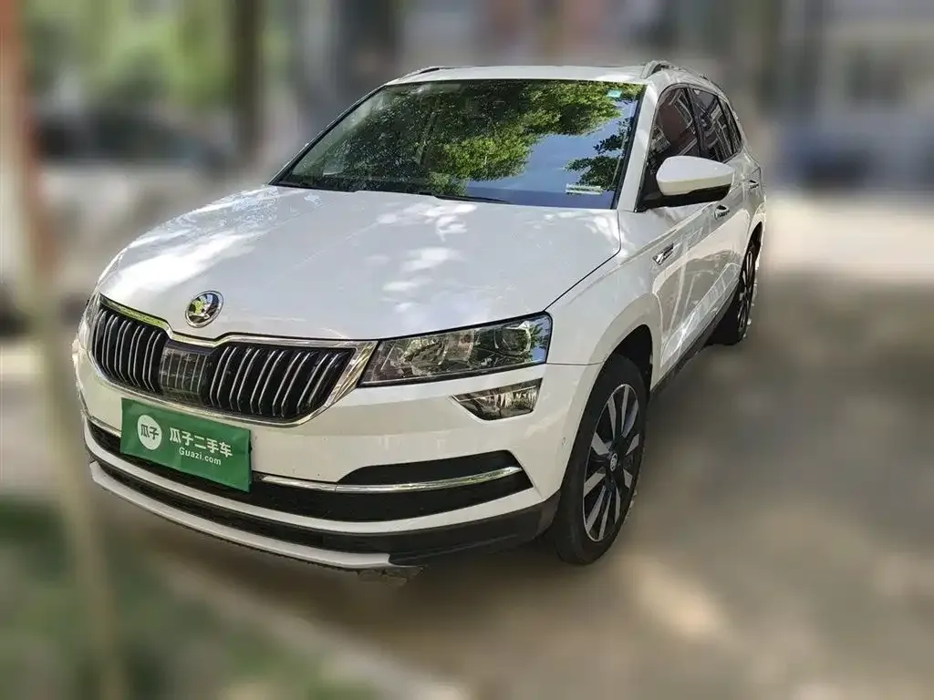 Skoda Karoq 2021 из CN, фото 3