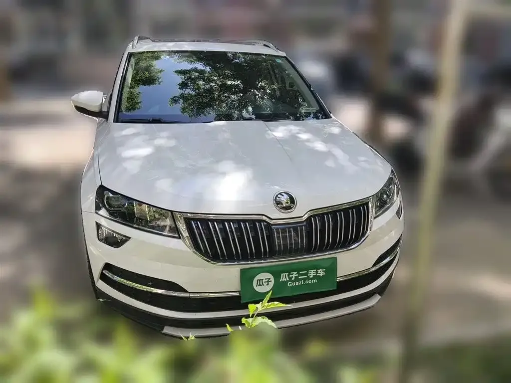 Skoda Karoq 2021 из CN, фото 6