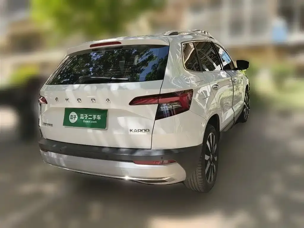Skoda Karoq 2021 из CN, фото 4
