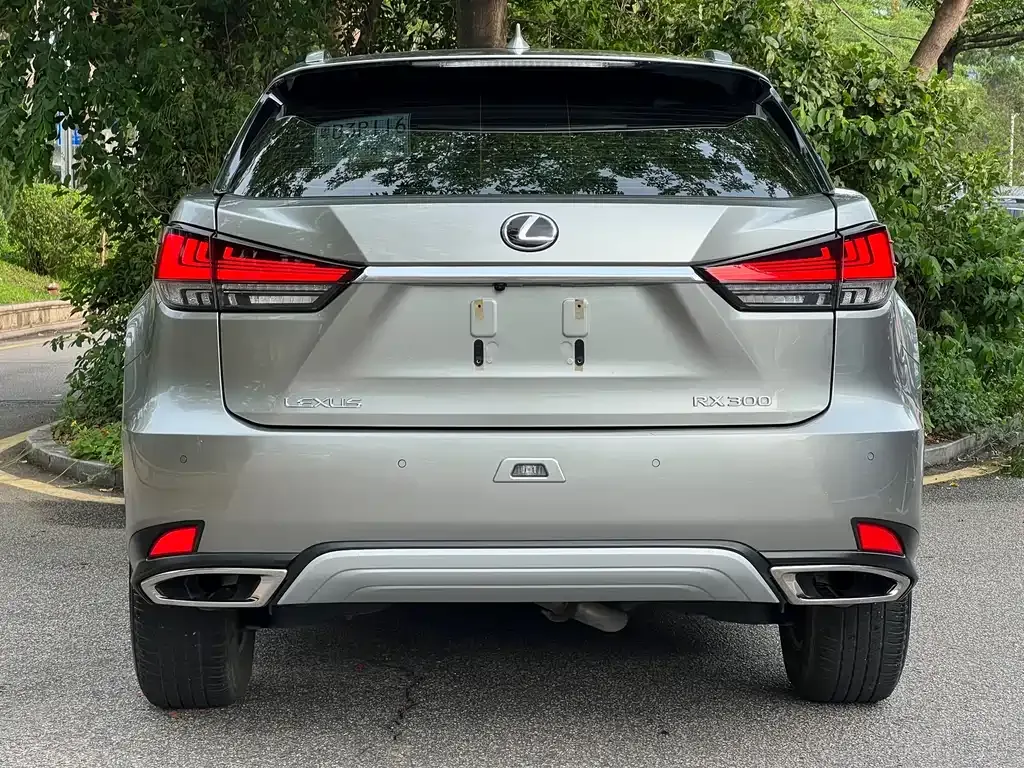 Lexus RX — фото 5