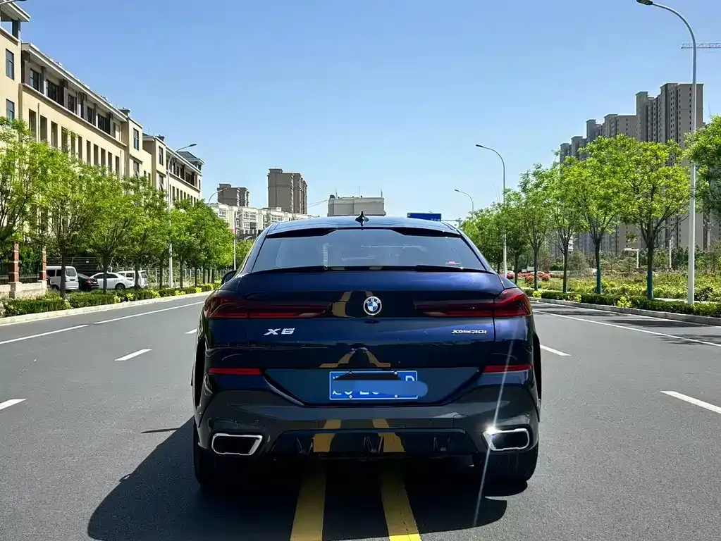 BMW X6 2021 из CN, фото 8