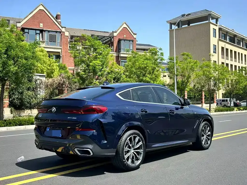 BMW X6 2021 из CN, фото 5