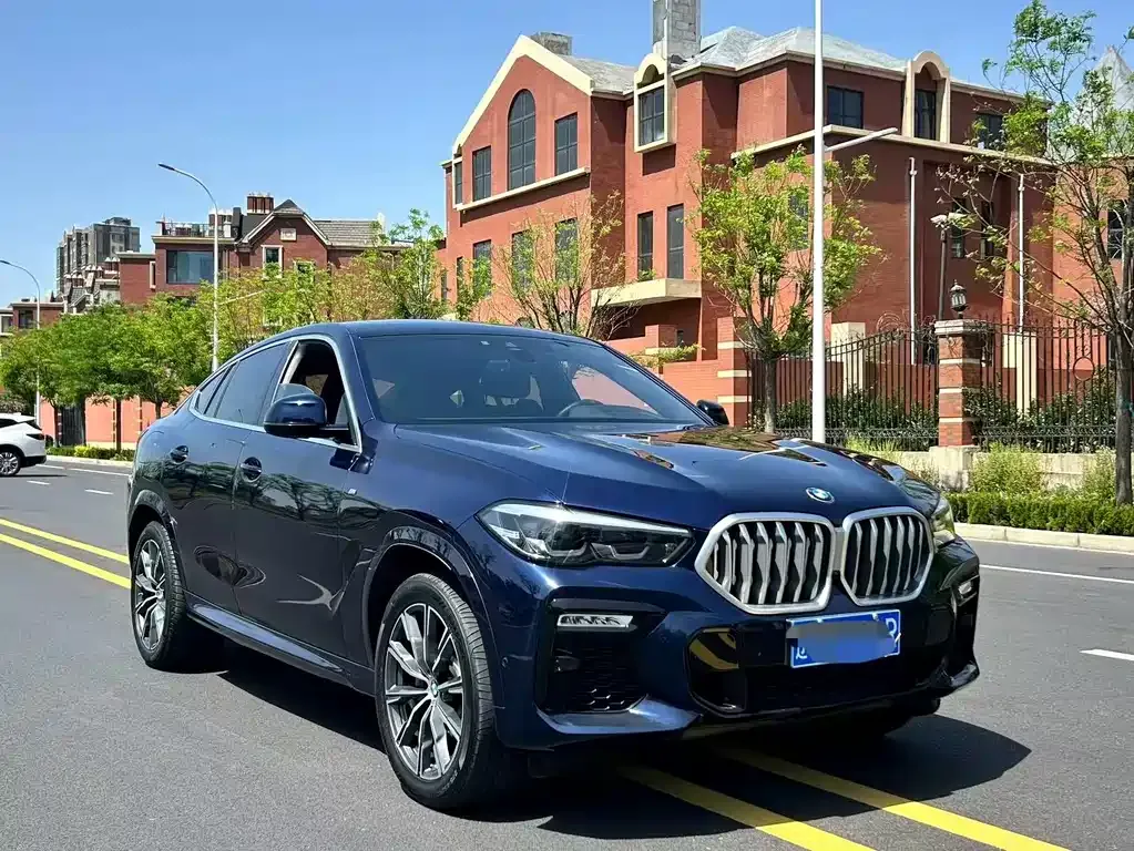 BMW X6 2021 из CN, фото 7
