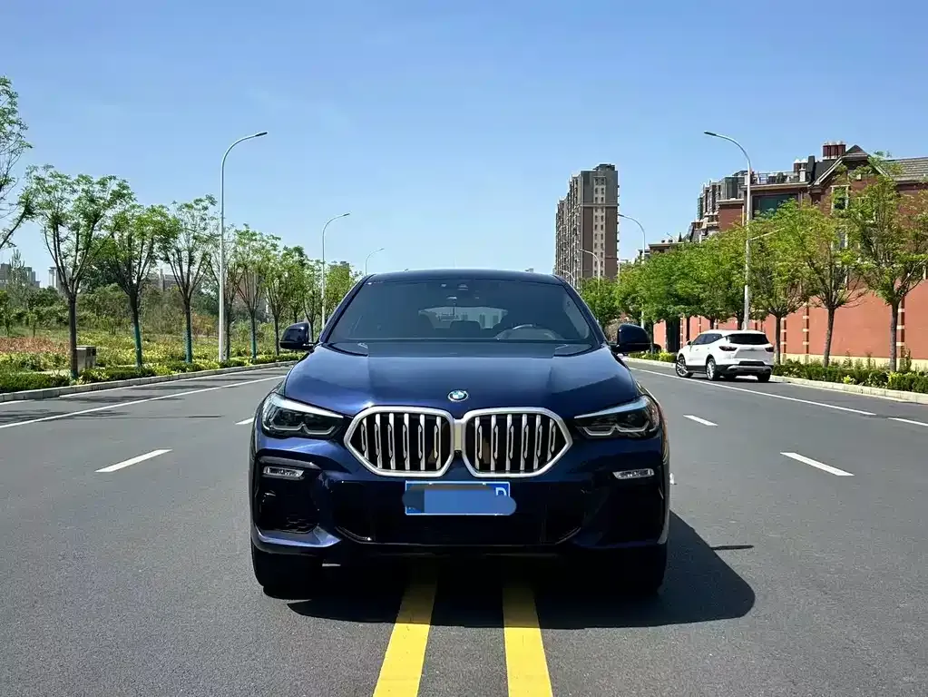 BMW X6 2021 из CN, фото 6