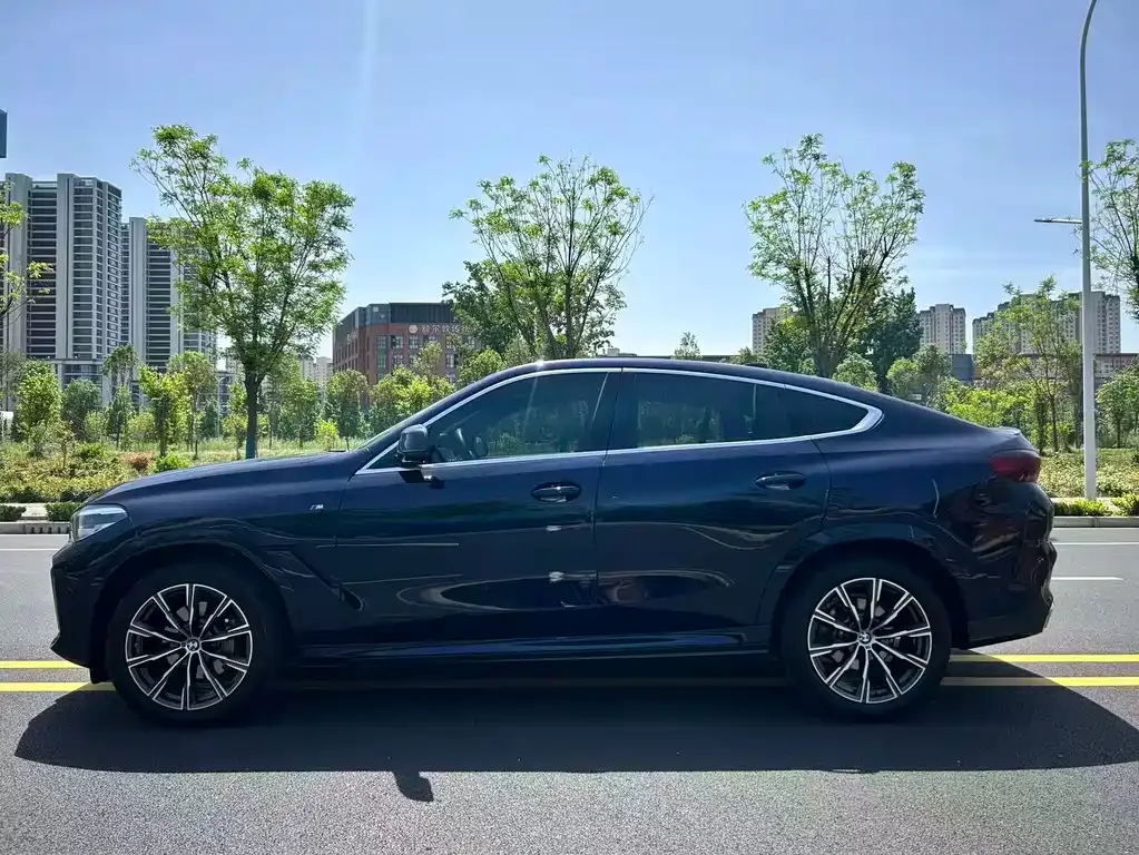 BMW X6 2021 из CN, фото 9