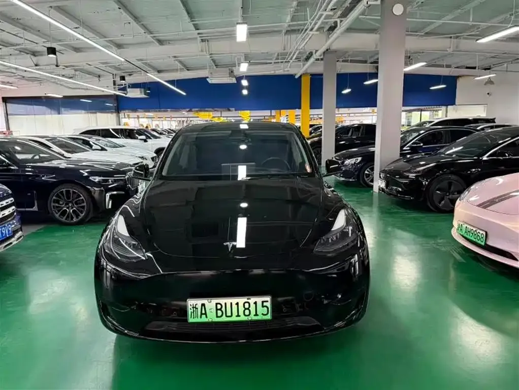 Tesla Model Y — фото 8