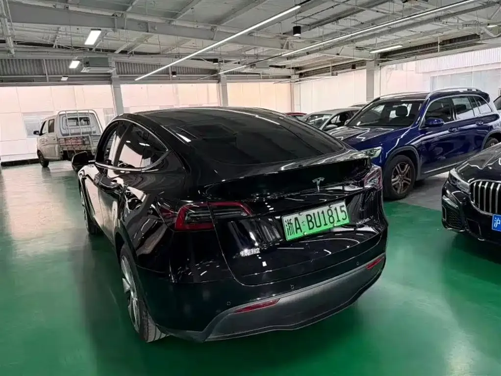 Tesla Model Y — фото 9