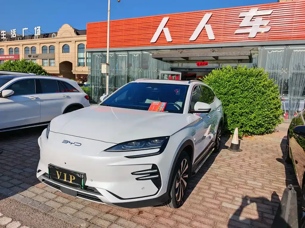 BYD PLUS New Energy 2025 из CN, фото 1