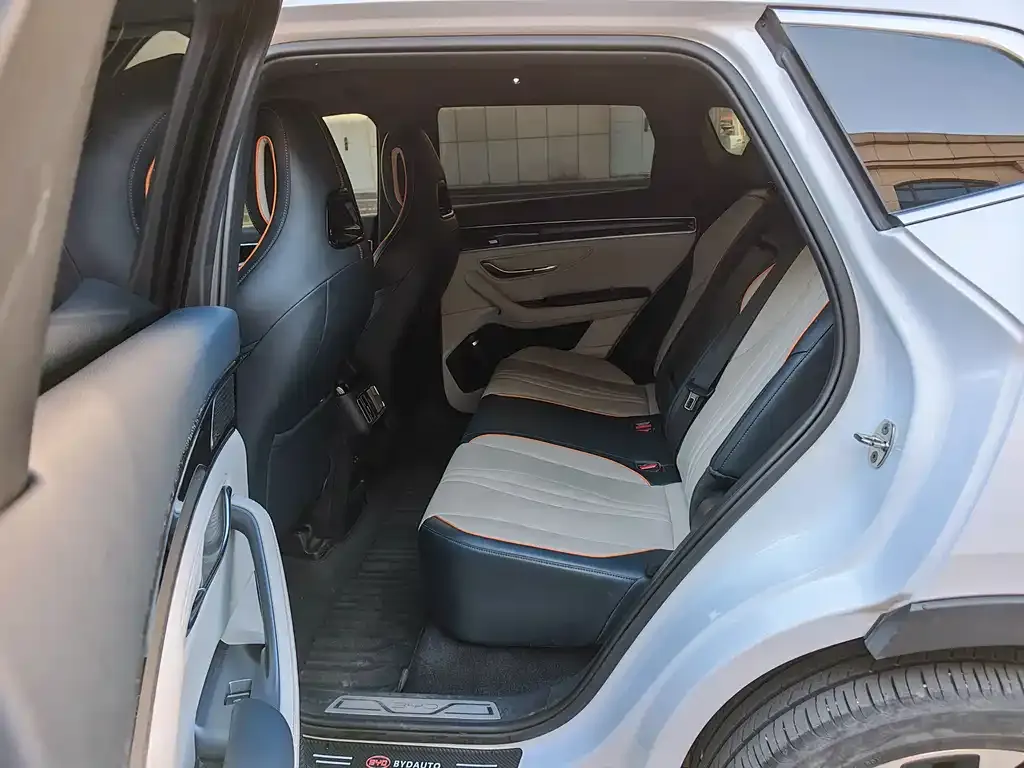 BYD PLUS New Energy 2025 из CN, фото 4
