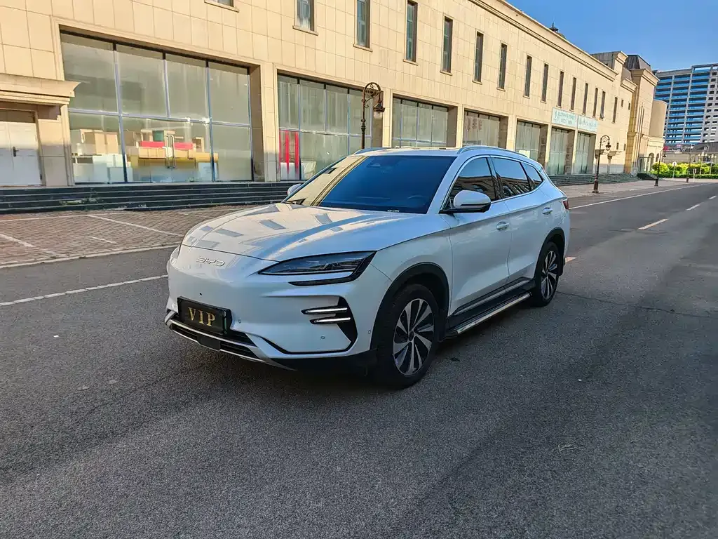 BYD PLUS New Energy 2025 из CN, фото 3